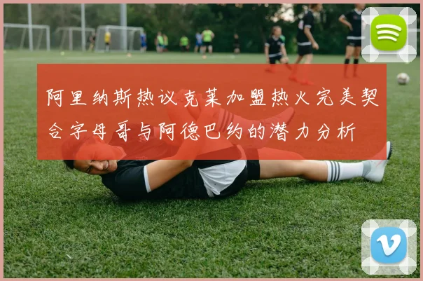阿里纳斯热议克莱加盟热火完美契合字母哥与阿德巴约的潜力分析