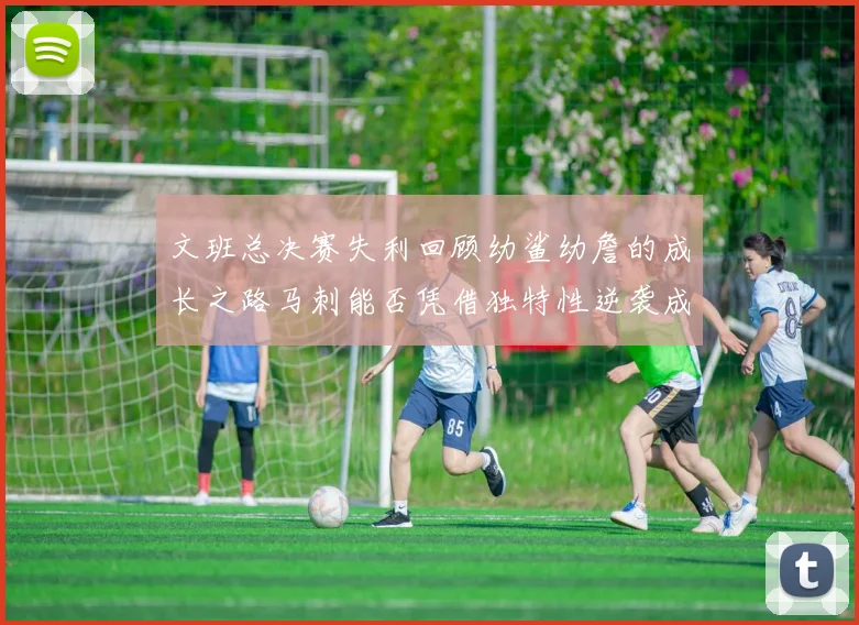 文班总决赛失利回顾幼鲨幼詹的成长之路马刺能否凭借独特性逆袭成功